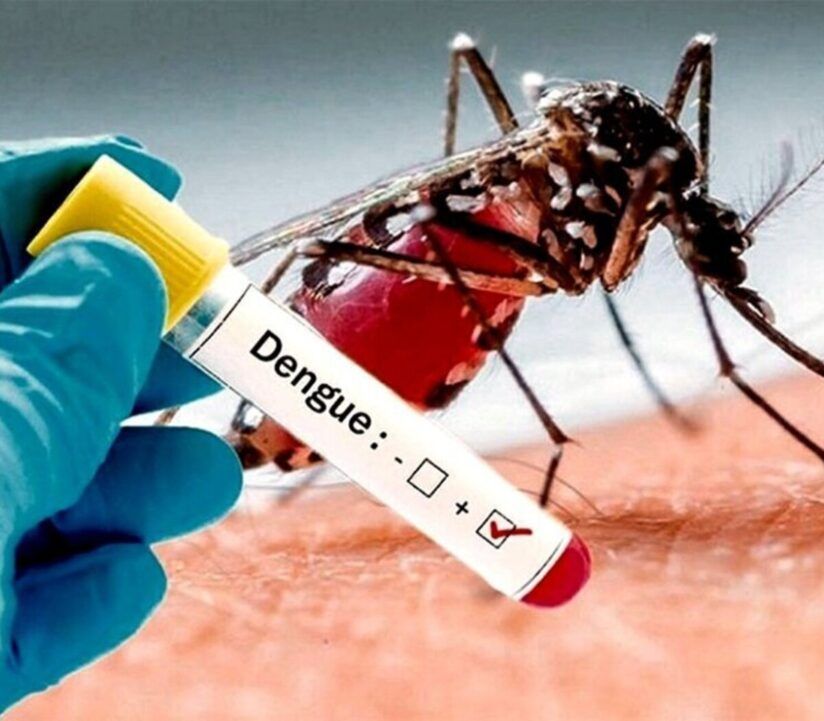 Vacuna contra el Dengue