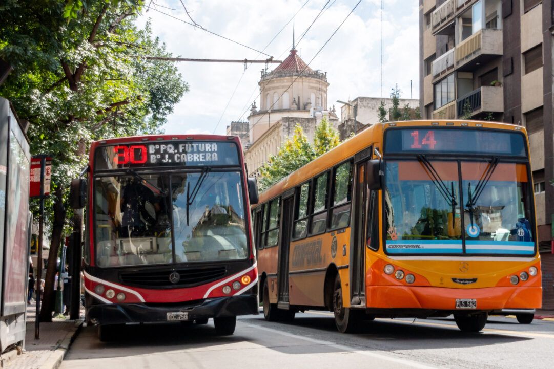 Colectivos