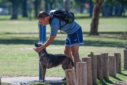 Alerta por ola de calor