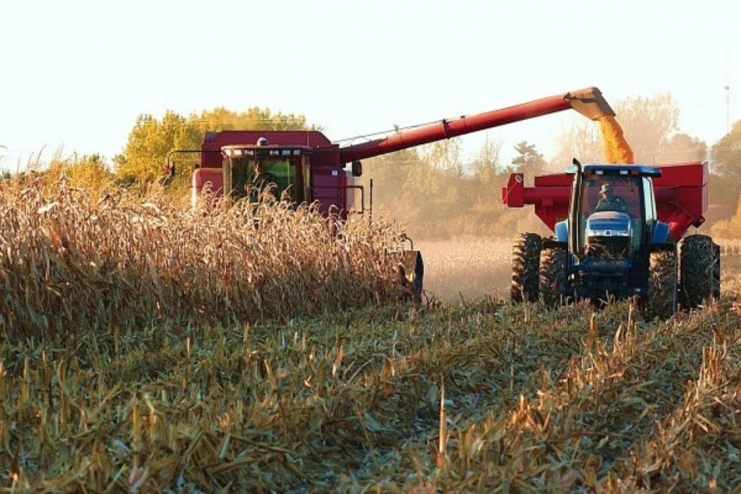 Productores agropecuarios