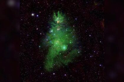 Árbol de Navidad en el cielo nocturno