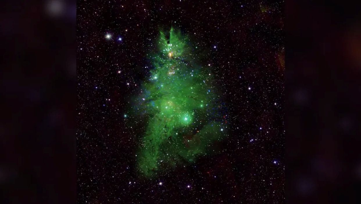 Árbol de Navidad en el cielo nocturno