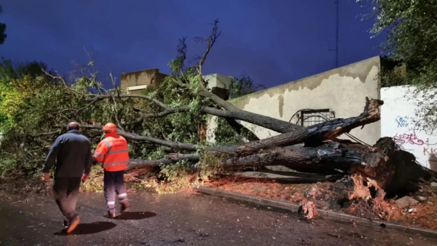 Temporal Bahía Blanca