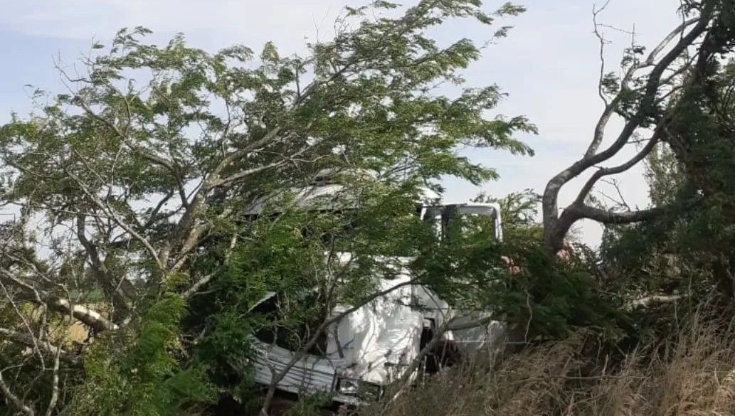 Accidente en ruta 41: despiste y choque de un camión en general belgrano