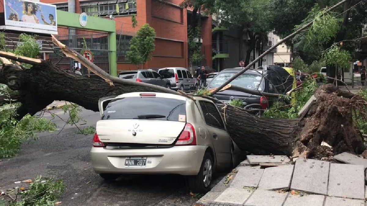 Auto destrozado