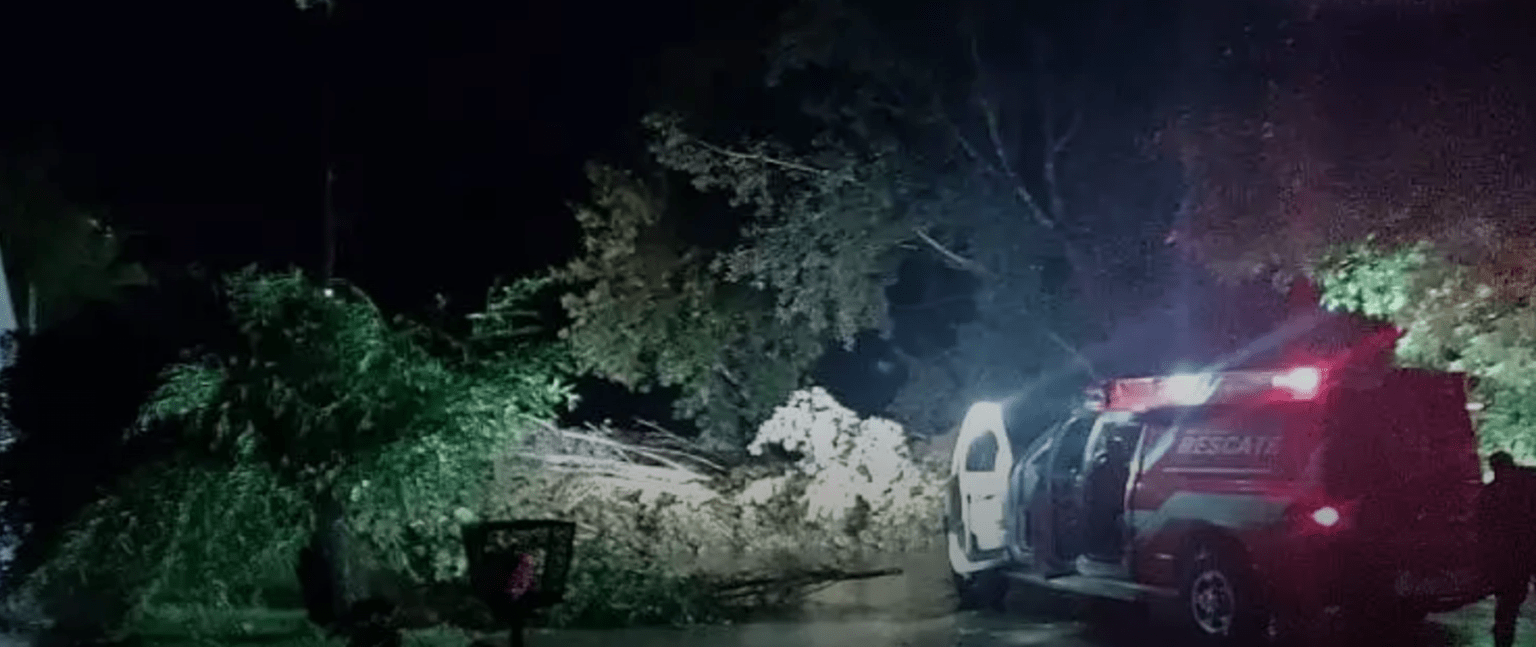 Fuerte temporal azotó a rauch: importantes daños materiales y caos en la población 1 Fuerte temporal azotó a rauch: importantes daños materiales y caos en la población