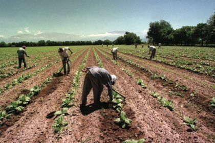 Trabajadores rurales