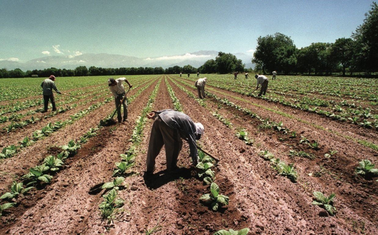 Trabajadores rurales