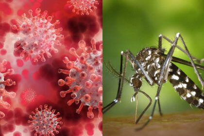 Coronavirus y Dengue