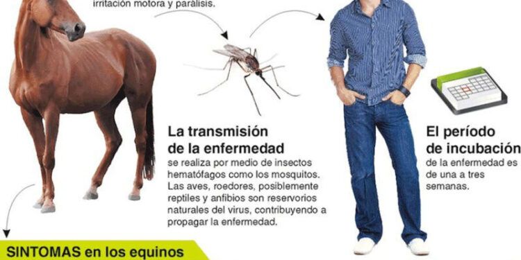 Confirman el primer caso de encefalitis equina en chascomús