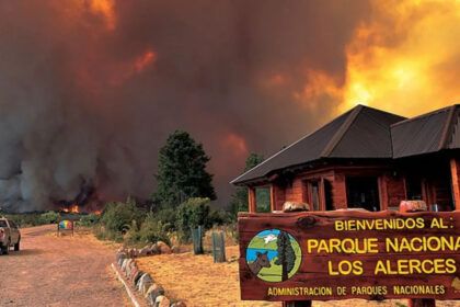 Incendio parque nacional Los Alerces
