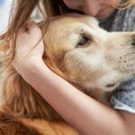 Provincia seguros lanzó una cobertura para mascotas: planes desde $1,7 millones y asistencia veterinaria 24 horas