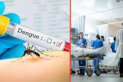 dengue provincia