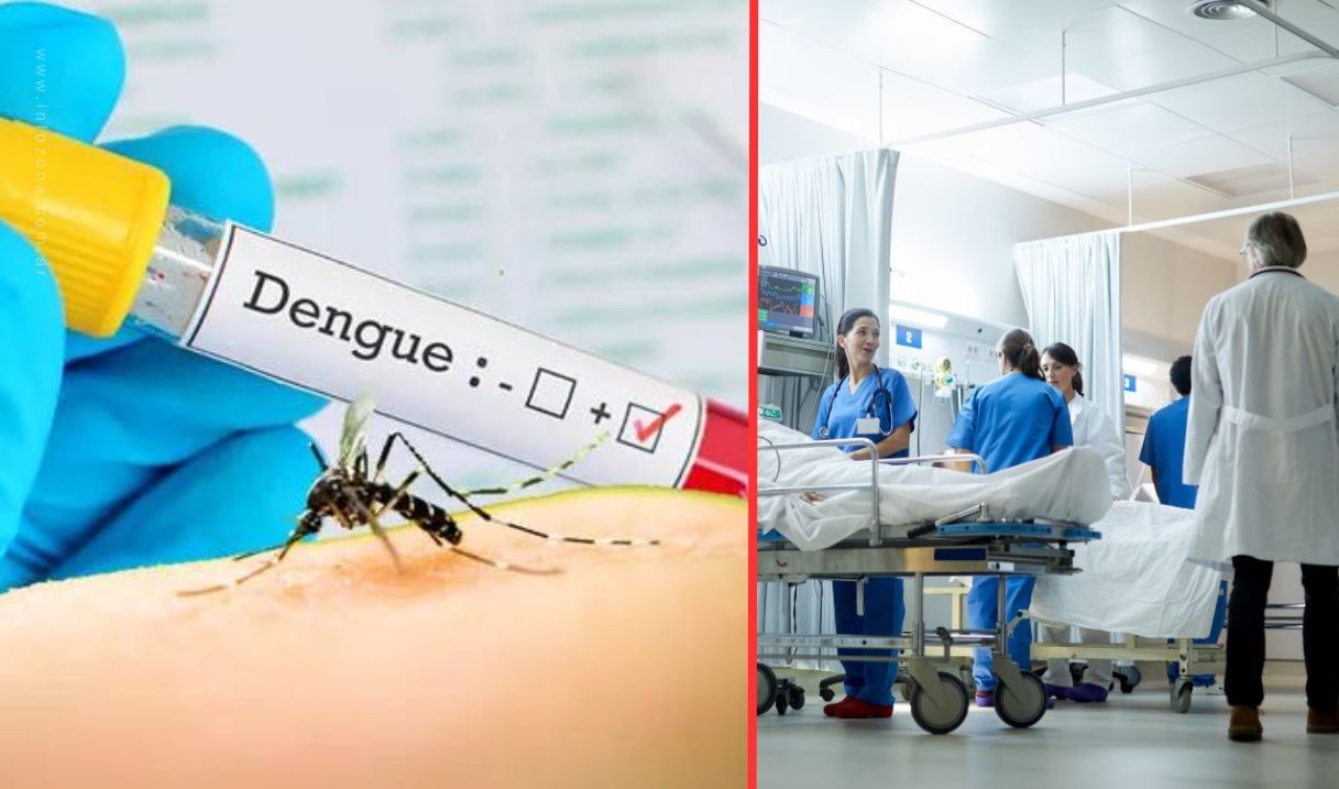 dengue provincia