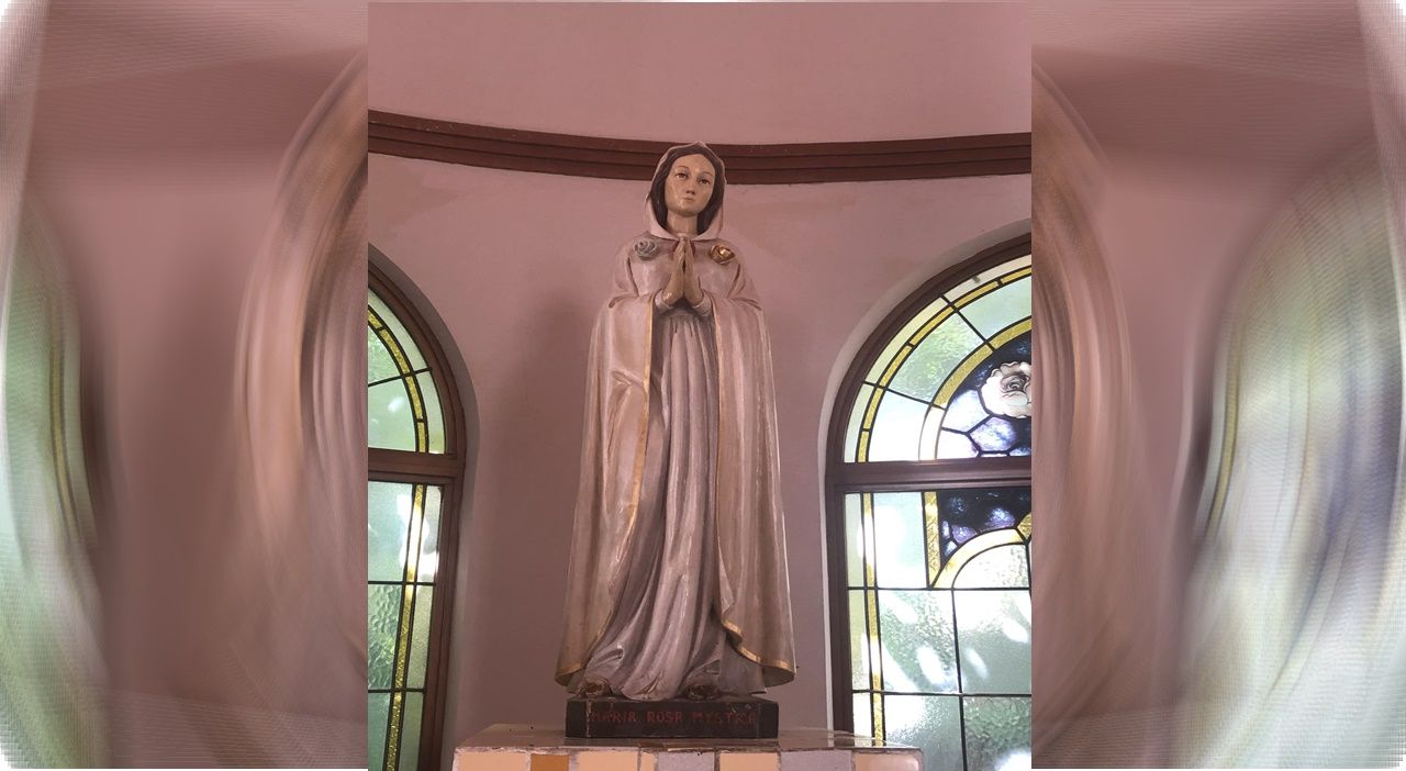 Robaron la corona de oro de la virgen de la rosa mística en la plata 1 Robaron la corona de oro de la virgen de la rosa mística en la plata