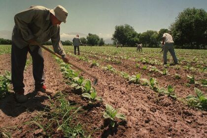 Trabajadores rurales temporarios