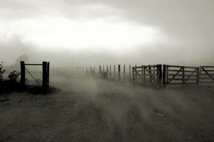 Adiós a las lluvias: el viento pampero anuncia la llegada del otoño con días frescos y soleados