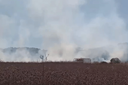 Voraz incendio consume gran parte de la reserva de laguna de los padres