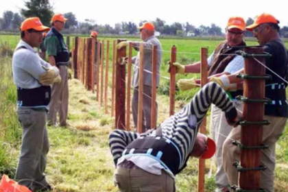 Hoy se celebra el día del alambrador: ¿por qué?