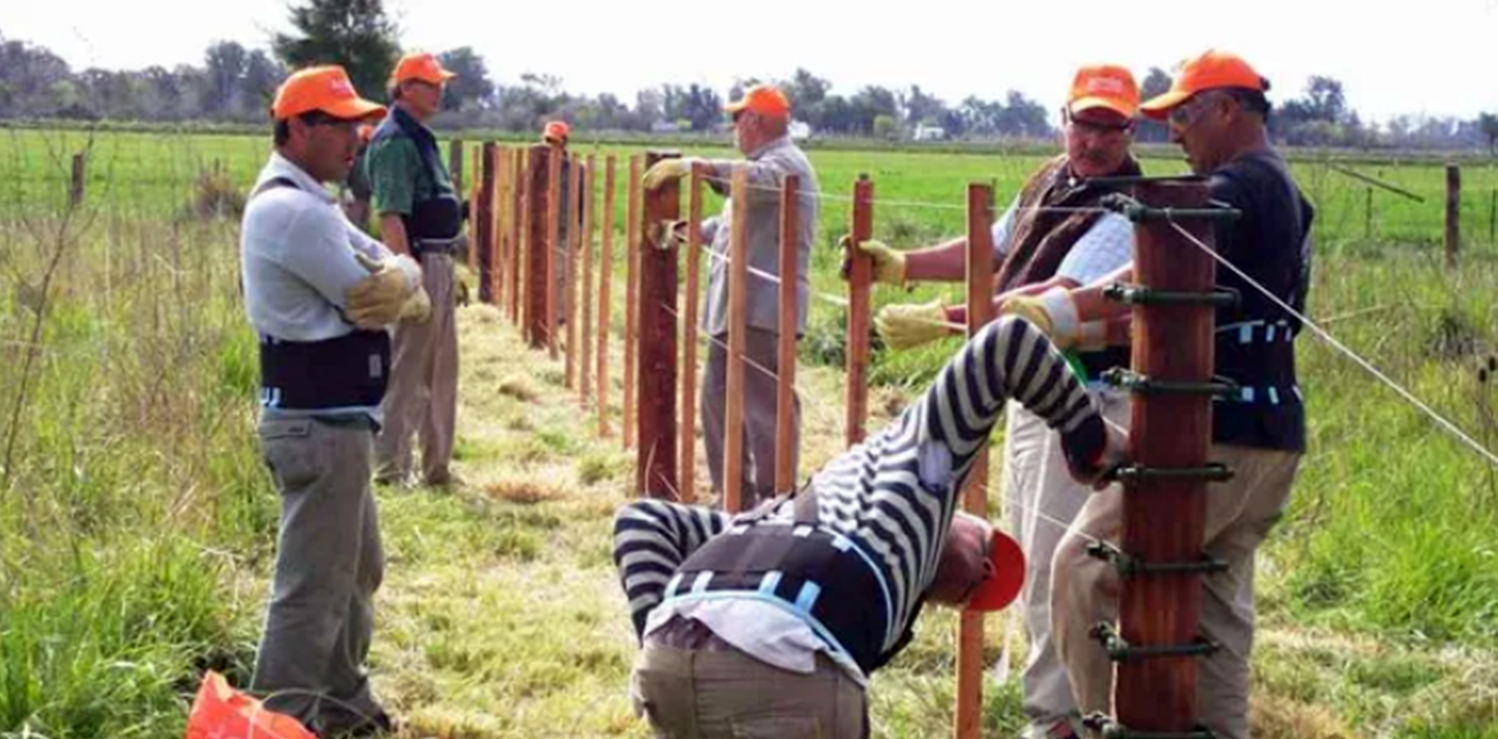 Hoy se celebra el día del alambrador: ¿por qué? 1 Hoy se celebra el día del alambrador: ¿por qué?