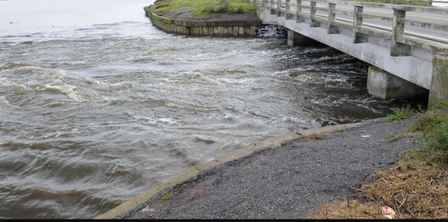 En plena alerta por tormentas, joven de brandsen desapareció en el río samborombón 1 En plena alerta por tormentas, joven de brandsen desapareció en el río samborombón