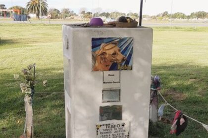 La costa: destruyeron el monumento al perro rubio ubicado en mar del tuyú