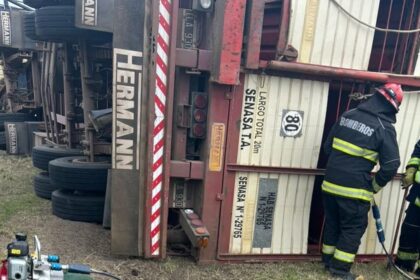 Accidente en ruta 11: más de 40 terneros murieron al volcar el acoplado de un camión en gral. Lavalle