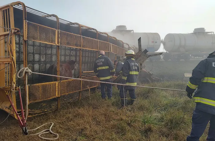 Impactante accidente: un camión de transporte de hacienda chocó contra un tren