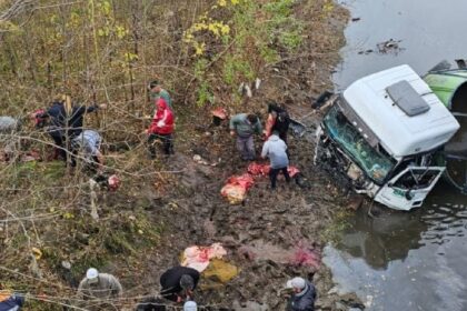Accidente en ruta 41: volcó un camión con terneros y la gente se metió al río para despostarlos