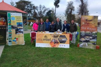 Tandil se prepara para la 