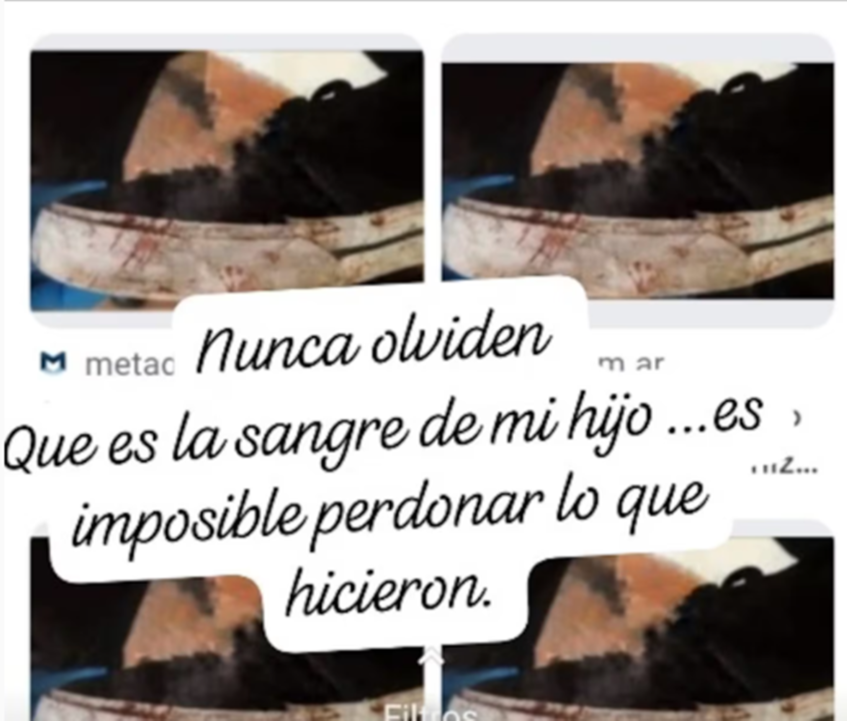 La reacción de la mamá de fernando báez sosa tras la entrevista a máximo thomsen