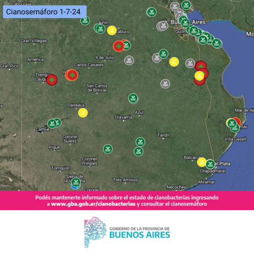 Chascomús, trenque lauquen y lezama se encuentran con alerta roja por cianobacterias