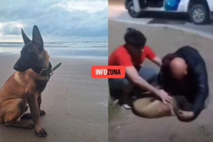 ¡emocionante reencuentro! Encuentran a bravo, el perro que fue sustraído de una vivienda