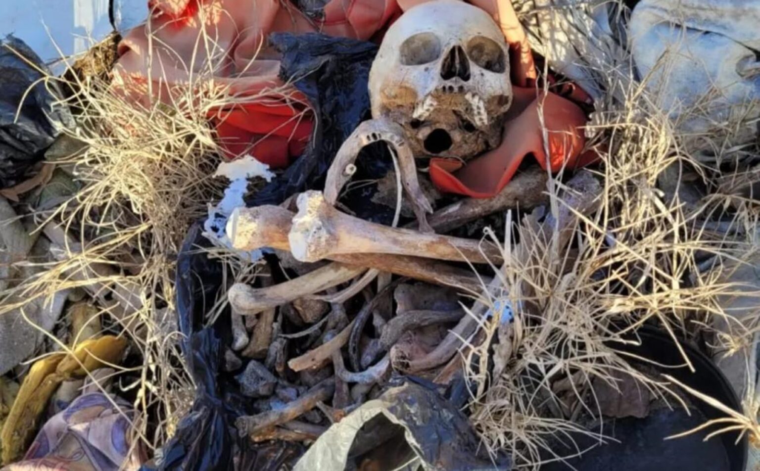 Encuentran restos óseos dentro de una bolsa de residuos en mar del tuyú