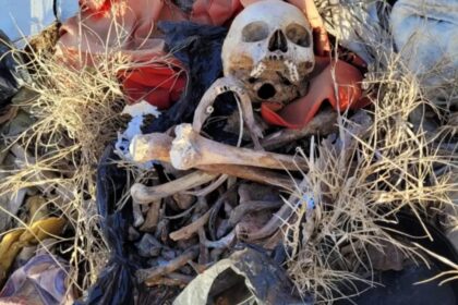 Encuentran restos óseos dentro de una bolsa de residuos en mar del tuyú