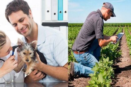 Día del ingeniero agrónomo y del veterinario: ¿por qué se celebra cada 6 de agosto?
