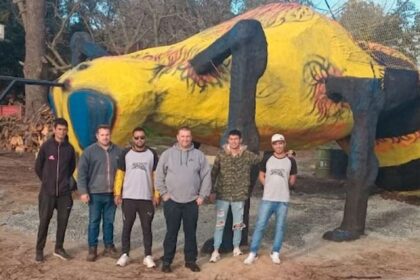 En chascomús buscan batir un récord guinness con una escultura de una abeja gigante
