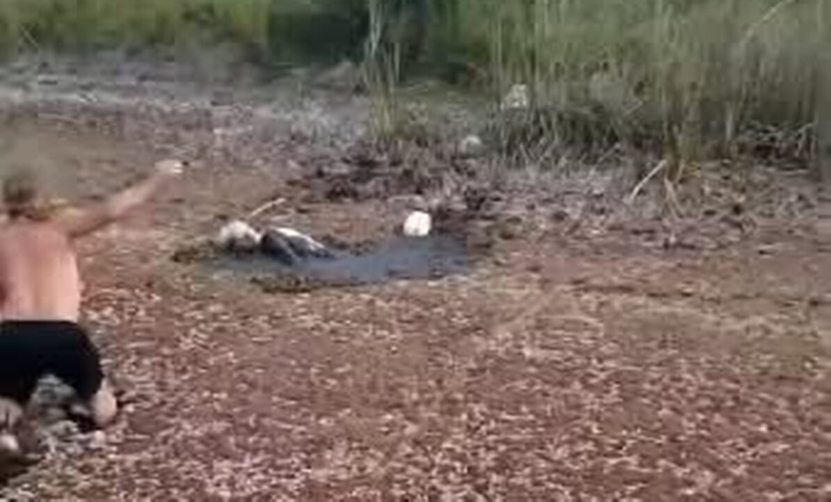 Milagro en Dolores: el amor de un niño y el coraje de su padre salvaron ...