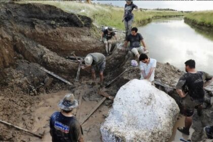 Ciervo era de hielo guido