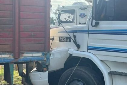 IMG 20250428 141614 (1221 x 1012 píxel)