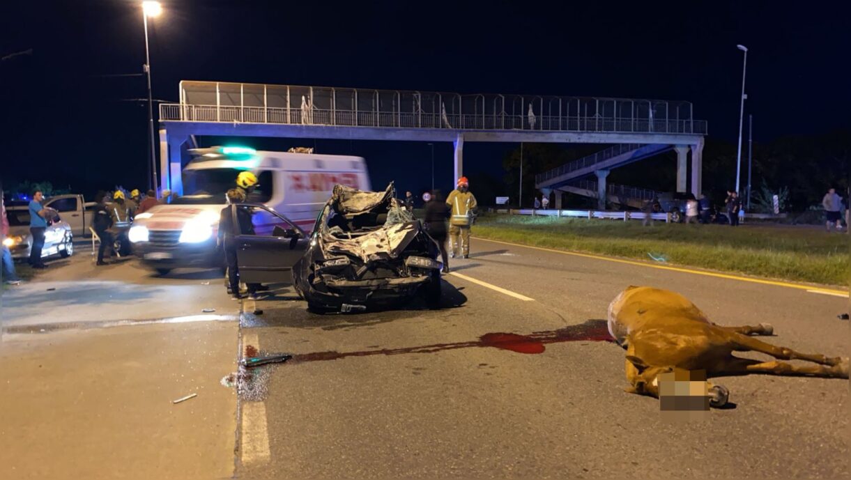 accidente cañuelas