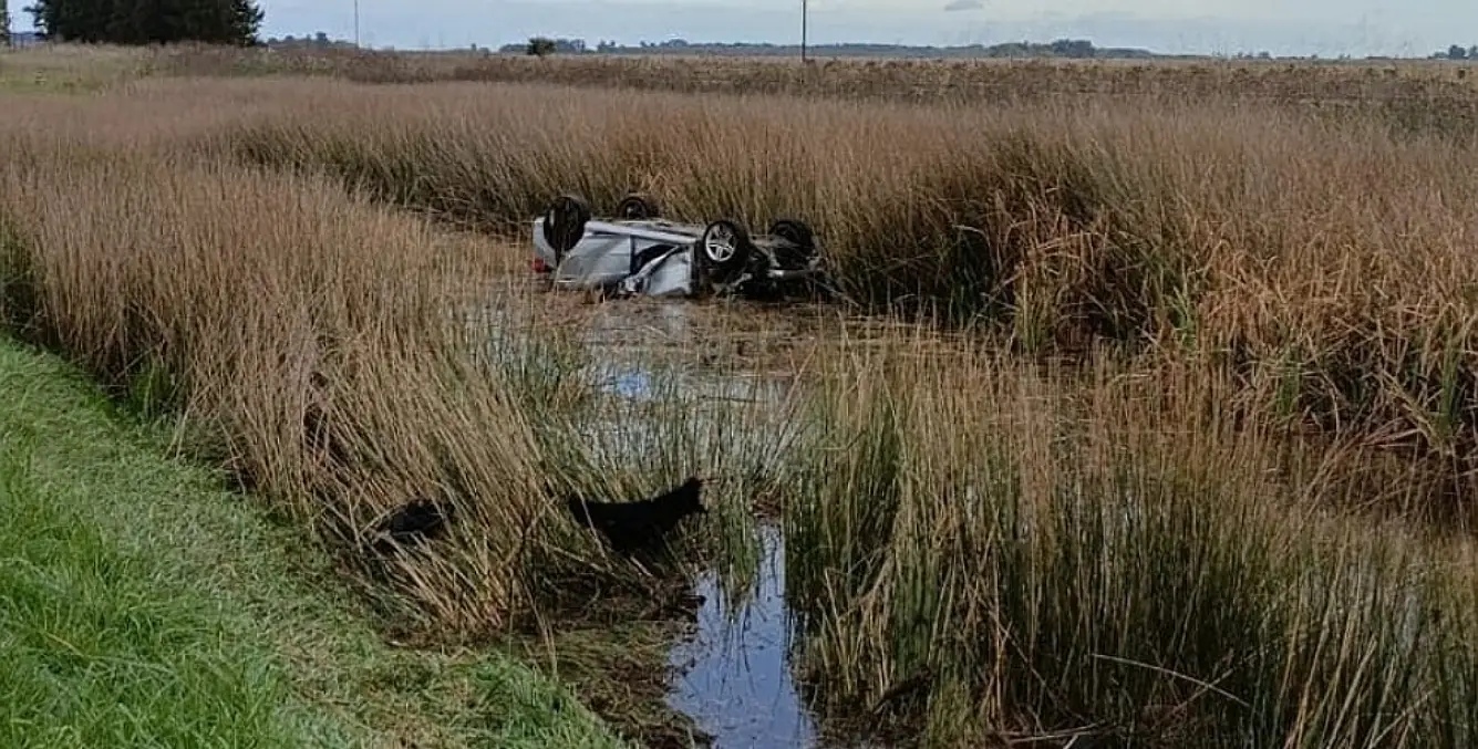 IMG 20250522 083730 (1335 x 677 píxel)