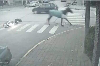 IMG 20250526 205812 (1217 x 700 píxel)