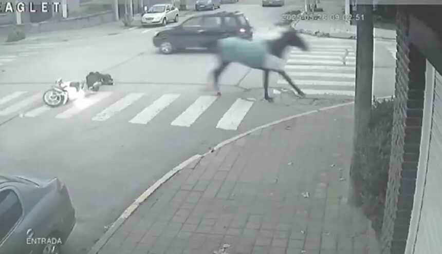 IMG 20250526 205812 (1217 x 700 píxel)