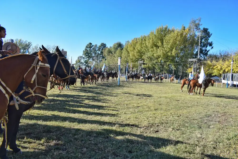 fiesta nacional la ganaderia