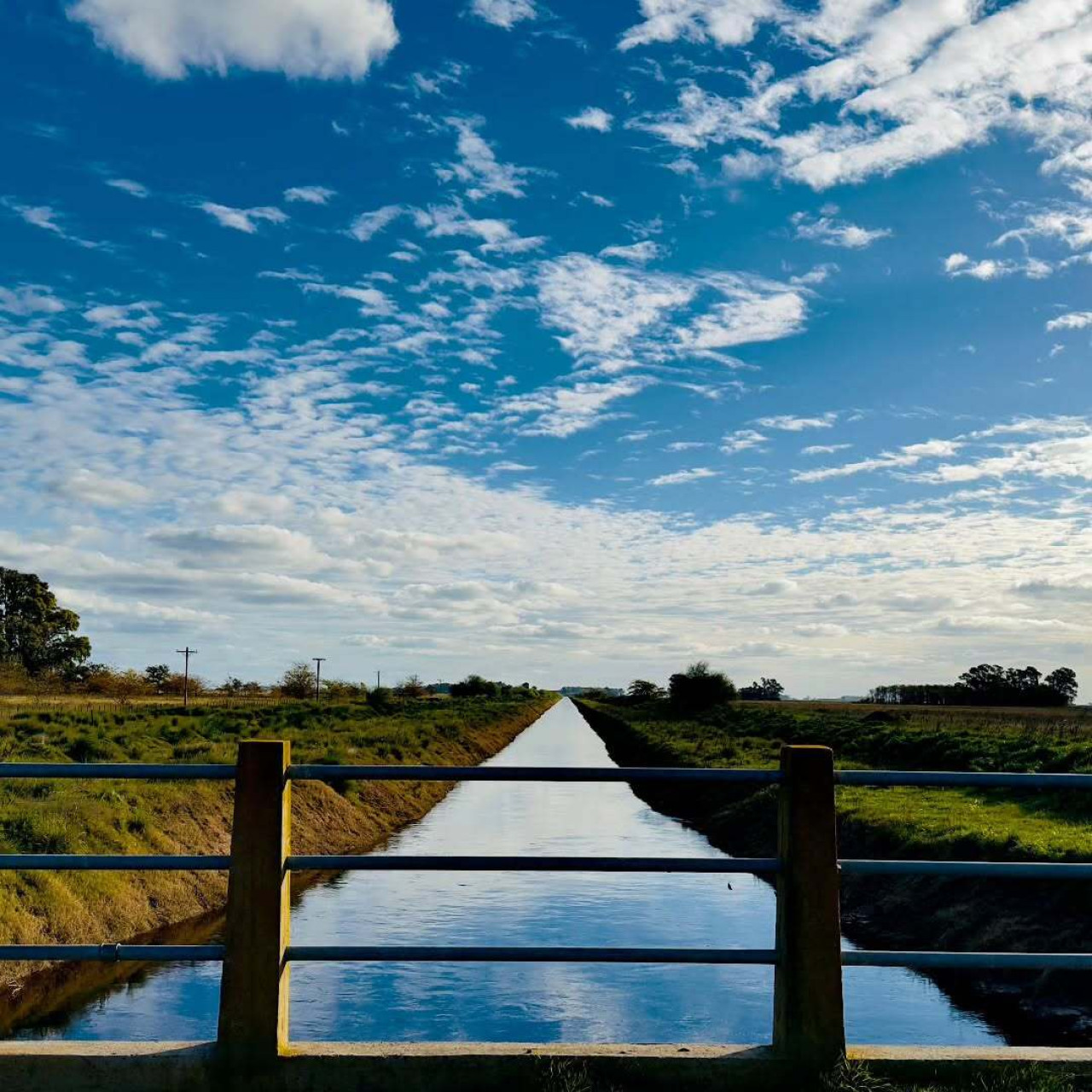 El encantador pueblo de Pardo, un refugio literario a 200 km de Buenos Aires, invita a escapar