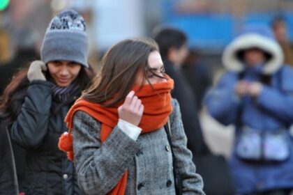 CREATOR: gd jpeg v1.0 (using IJG JPEG v80), quality = 100?