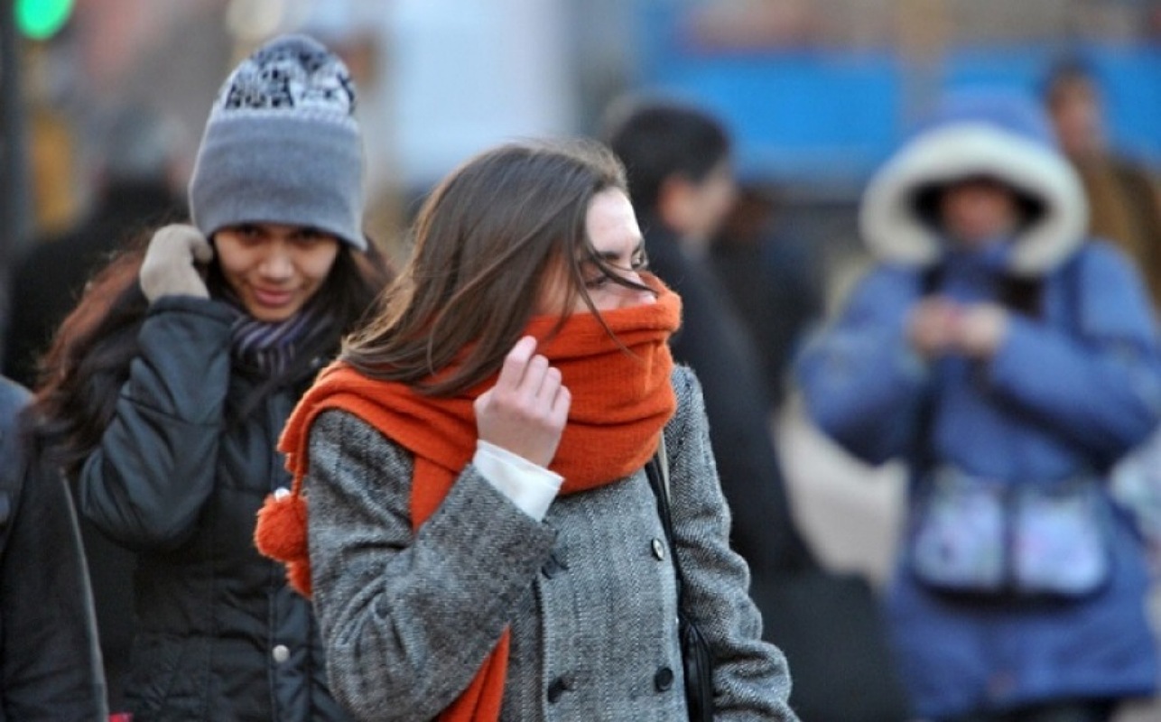 CREATOR: gd jpeg v1.0 (using IJG JPEG v80), quality = 100?