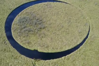 Una isla en el Delta del Paraná que gira sola desata curiosidad y misterio en Buenos Aires