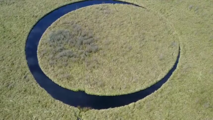 Una isla en el Delta del Paraná que gira sola desata curiosidad y misterio en Buenos Aires